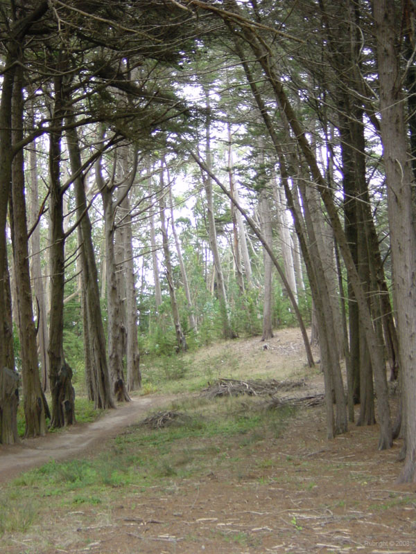 DSC00017_1