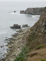 DSC00019